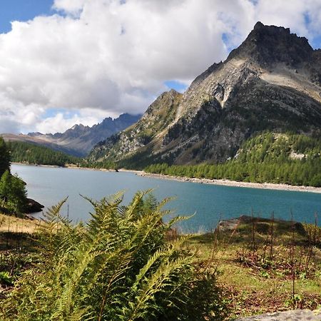 Вилла Casa Vacanza In Tipico Chalet Di Montagna Варцо Экстерьер фото