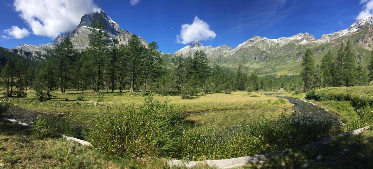 Вилла Casa Vacanza In Tipico Chalet Di Montagna Варцо Экстерьер фото